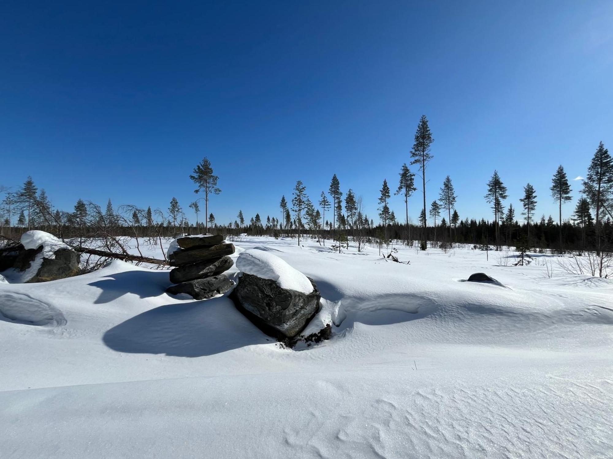Log Cottages In 10 Min From Santa Claus Village-Sauna&Freeparking Rovaniemi Buitenkant foto